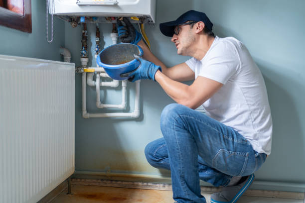 Best Local Plumber Services  in Worthington, MN